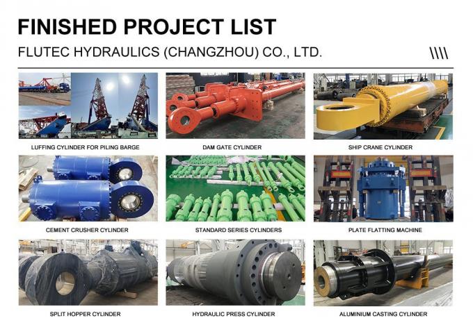 الصمغ الهيدروليكي الهندسي ذو النشاط المزدوج من الفولاذ الكربوني معتمد ISO9001 6